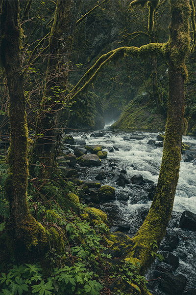Humidity, Oregon 2016