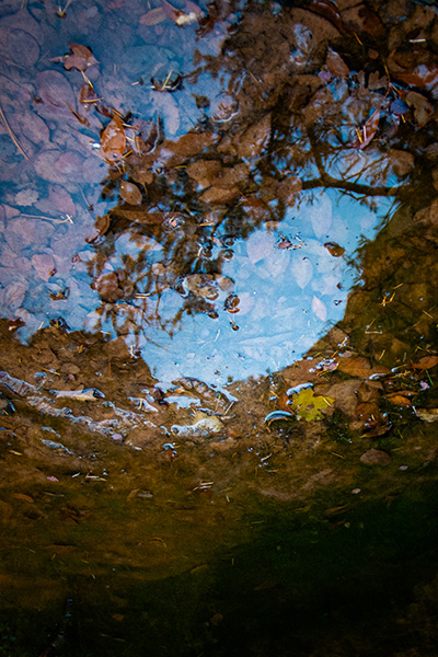 Waterscape