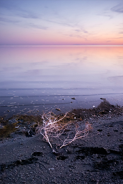 Salton Sea Color